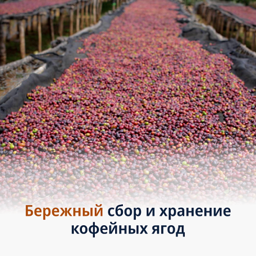 Кофе в зернах DeLonghi Signature coffee Espresso blend