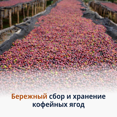 Кофе в зёрнах DeLonghi Signature Fruit Edition 1 кг