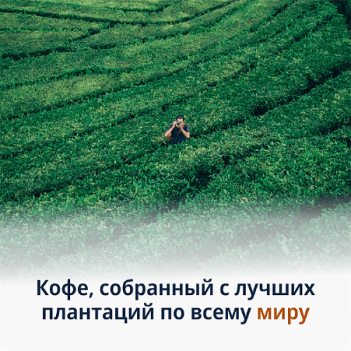 Кофе в зернах DeLonghi Signature coffee Espresso Selection Blend 800 г